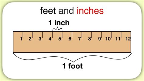 5 feet 1 inch in meters|More.